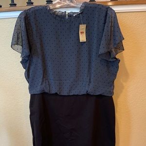 Blue and Black short Sleeve Dress